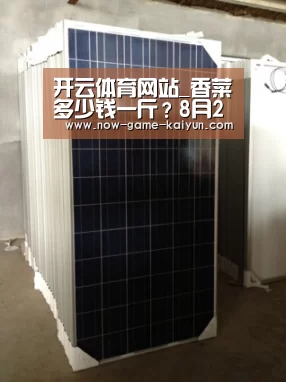 开云体育网站
