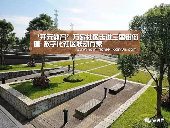 开云体育官网