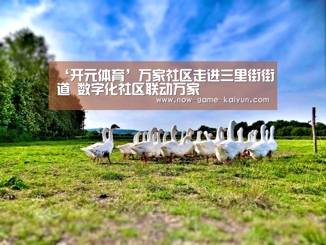 开云体育网站