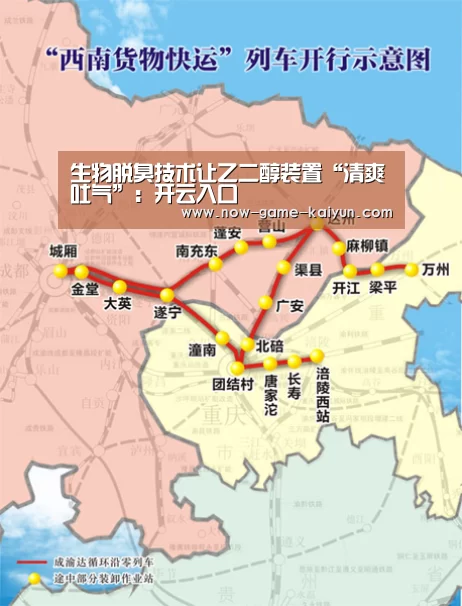 开云体育官网