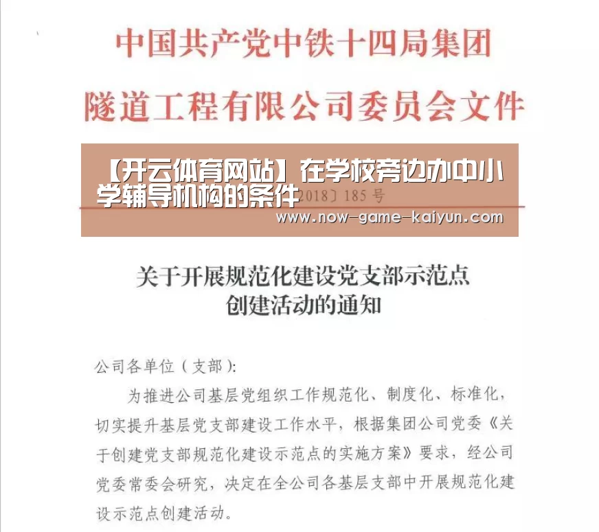 开云体育网站