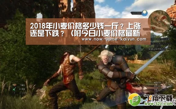 2018年小麦价格多少钱一斤?上涨还是下跌?(附今日小麦价格最新行情)|开云体育网站(图3) 开云体育网站
