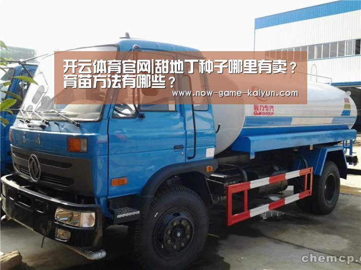 开云体育官网