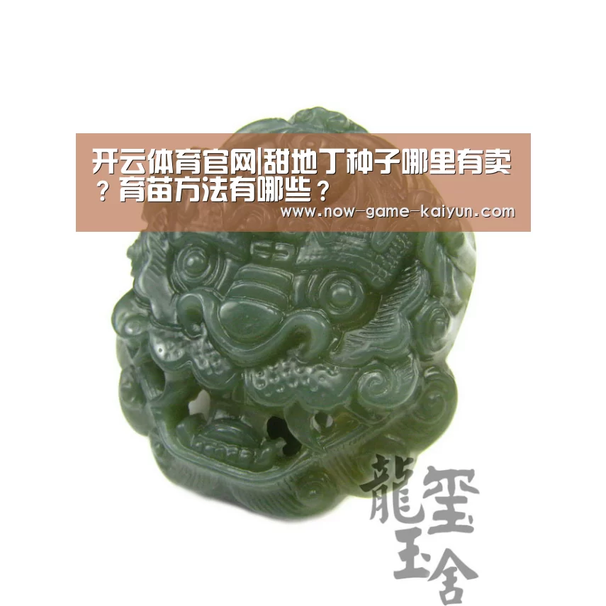 开云体育官网