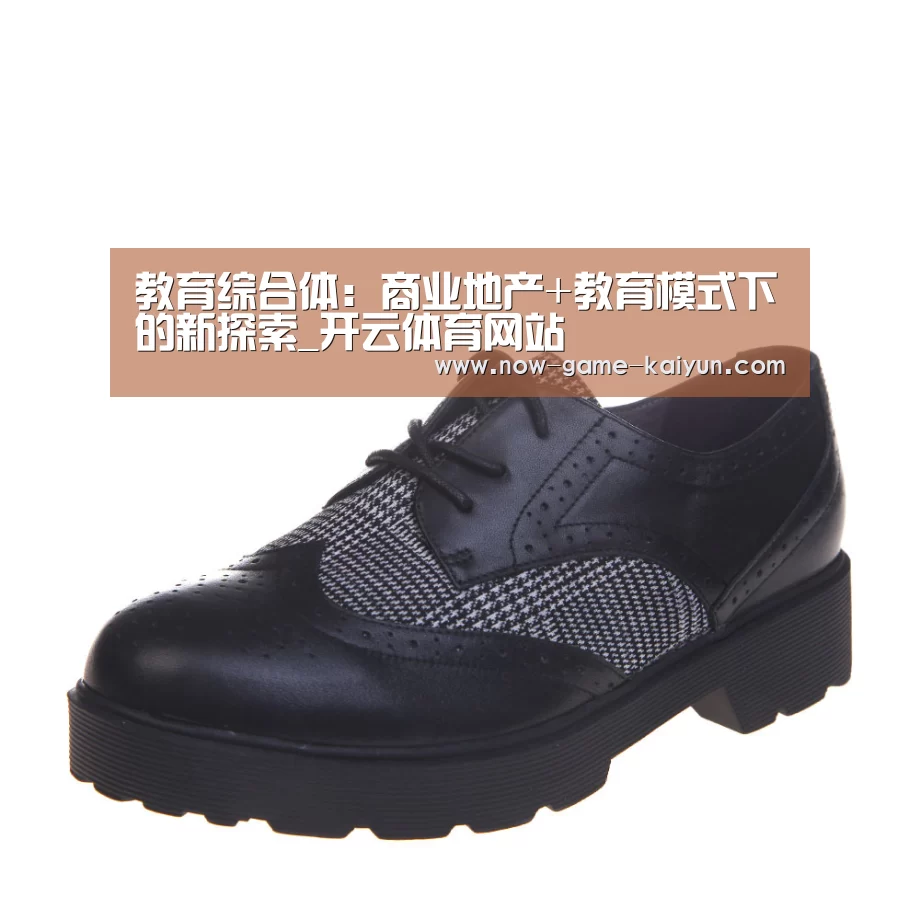 教育综合体:商业地产+教育模式下的新探索_开云体育网站(图2) 开云体育网站