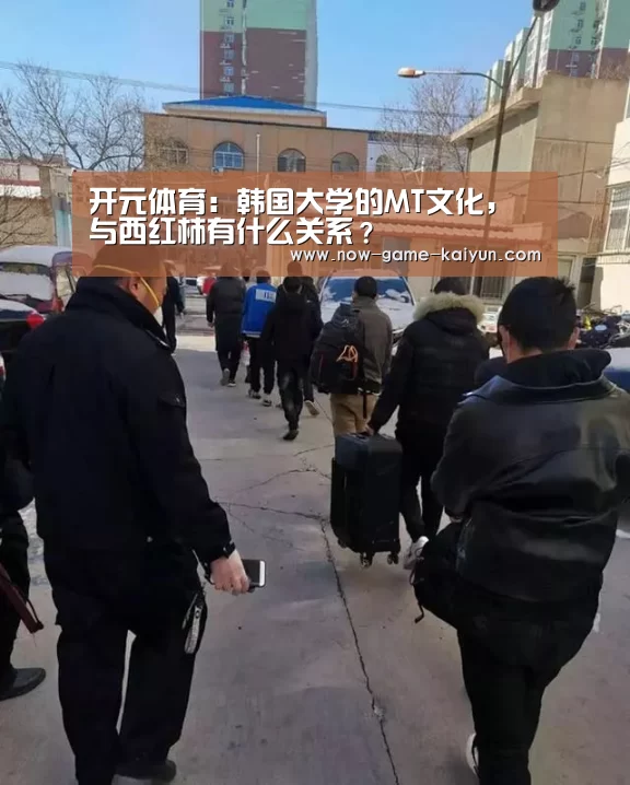 开云入口