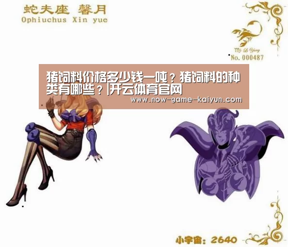 开云入口
