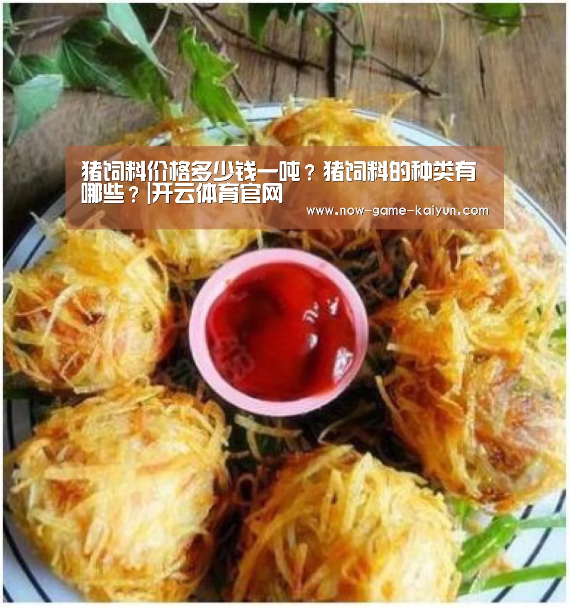 开云体育官网