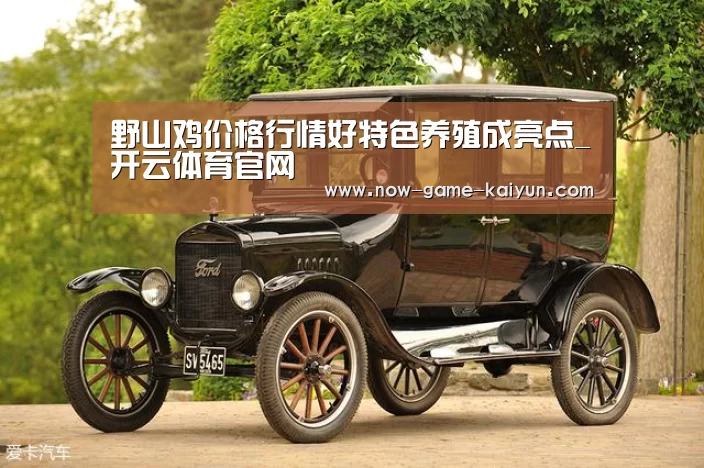 野山鸡价格行情好特色养殖成亮点_开云体育官网(图2) 开云体育网站