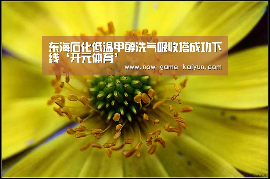 开云体育网站