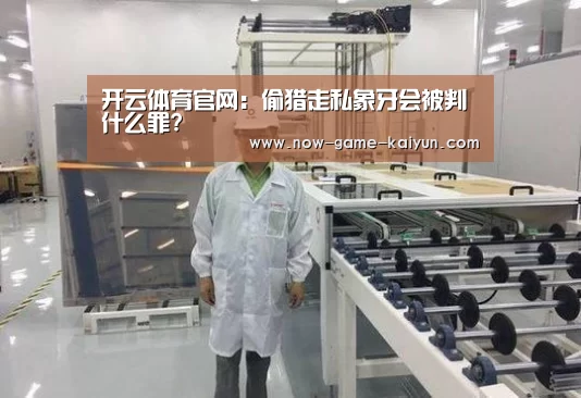 开云体育官网：偷猎走私象牙会被判什么罪?
