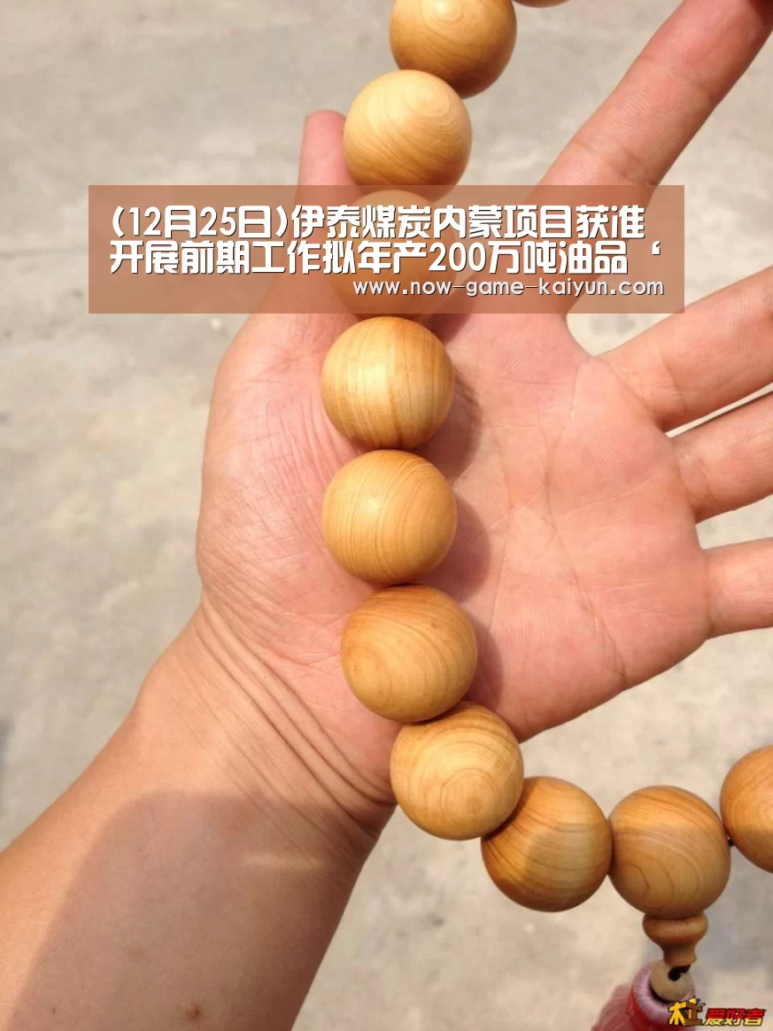 (12月25日)伊泰煤炭内蒙项目获准开展前期工作拟年产200万吨油品‘开元体育’(图1) 开云入口