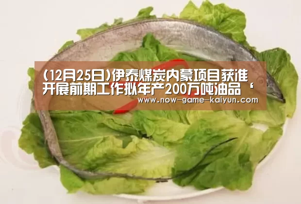 (12月25日)伊泰煤炭内蒙项目获准开展前期工作拟年产200万吨油品‘开元体育’(图3) 开云体育网站