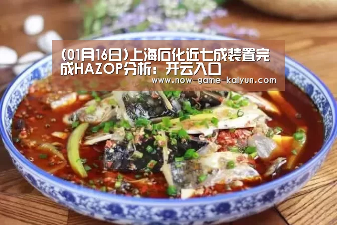 (01月16日)上海石化近七成装置完成HAZOP分析:开云入口(图3) 开云体育官网