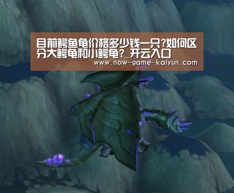 开元体育