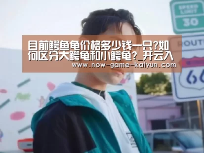 开云体育官网