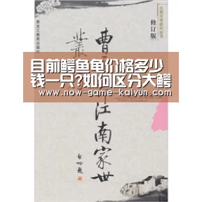 开云体育官网