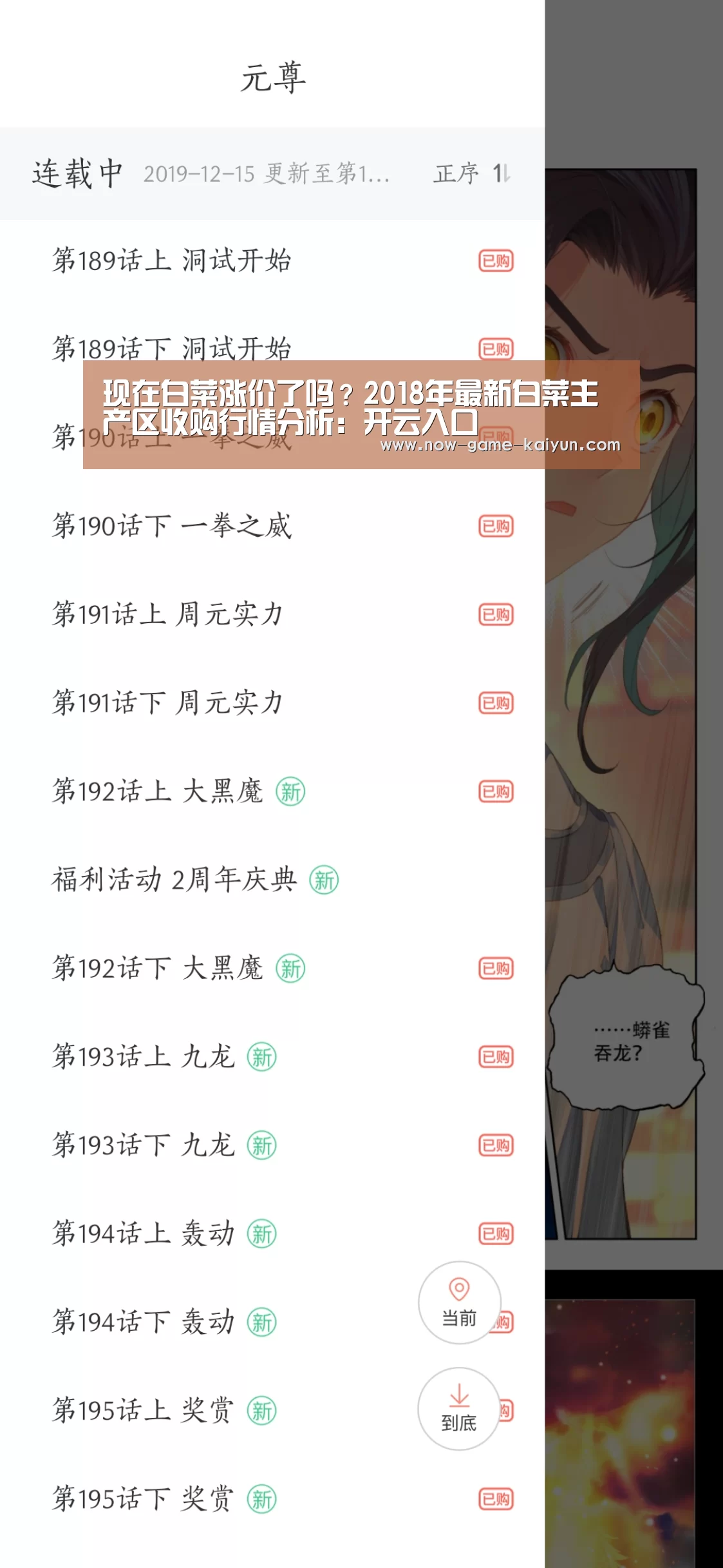 现在白菜涨价了吗?2018年最新白菜主产区收购行情分析:开云入口(图1) 开云体育官网