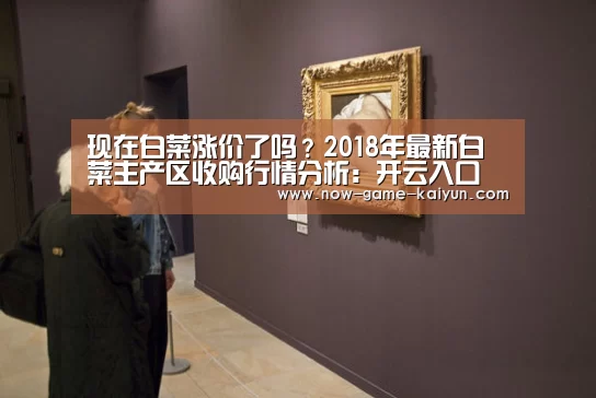 现在白菜涨价了吗?2018年最新白菜主产区收购行情分析:开云入口(图4) 开云体育网站